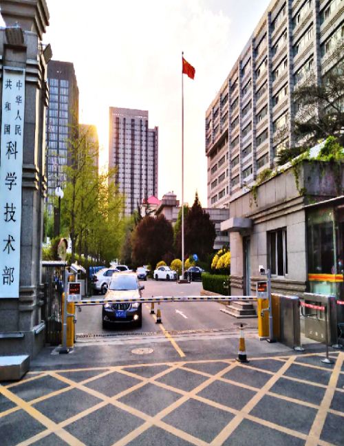 科技部机关院区绿化养护