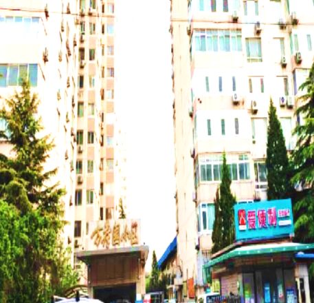 财政部家属小区绿化养护