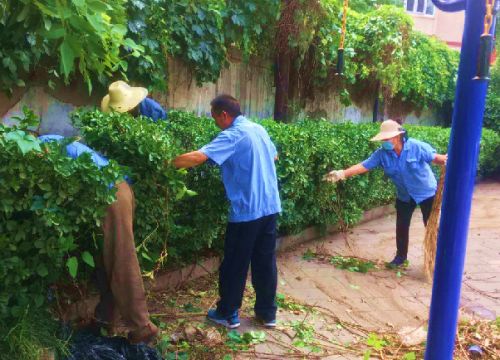 科技部家属小区绿化