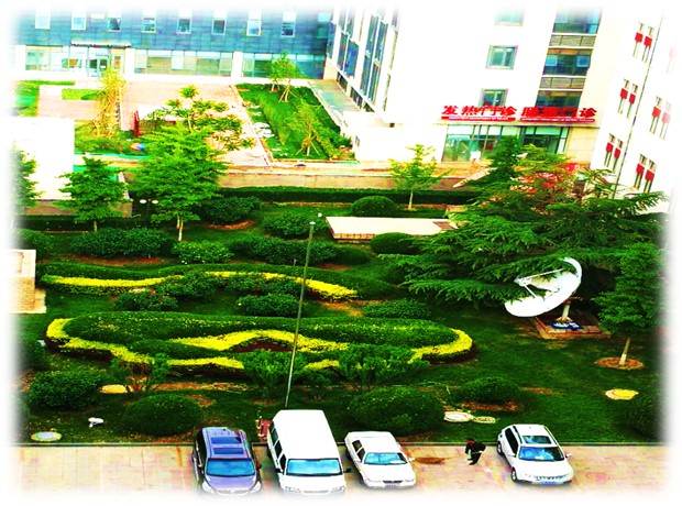 铁通机关院修剪