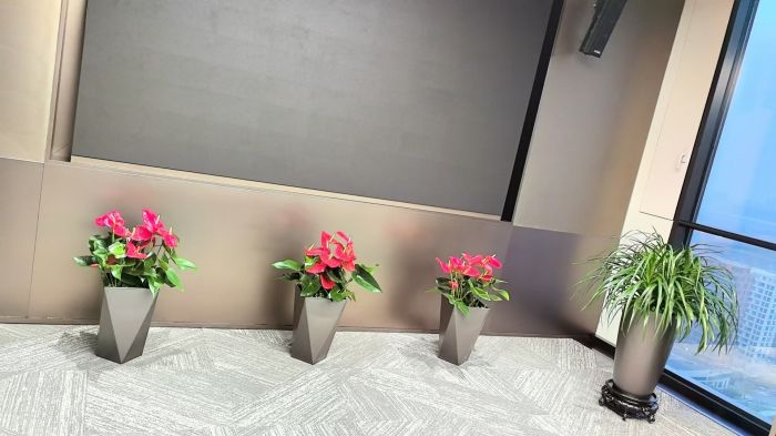 公区室内绿植展示三