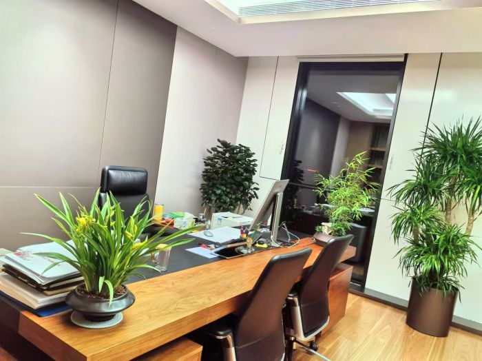 领导间室内绿植展示图一